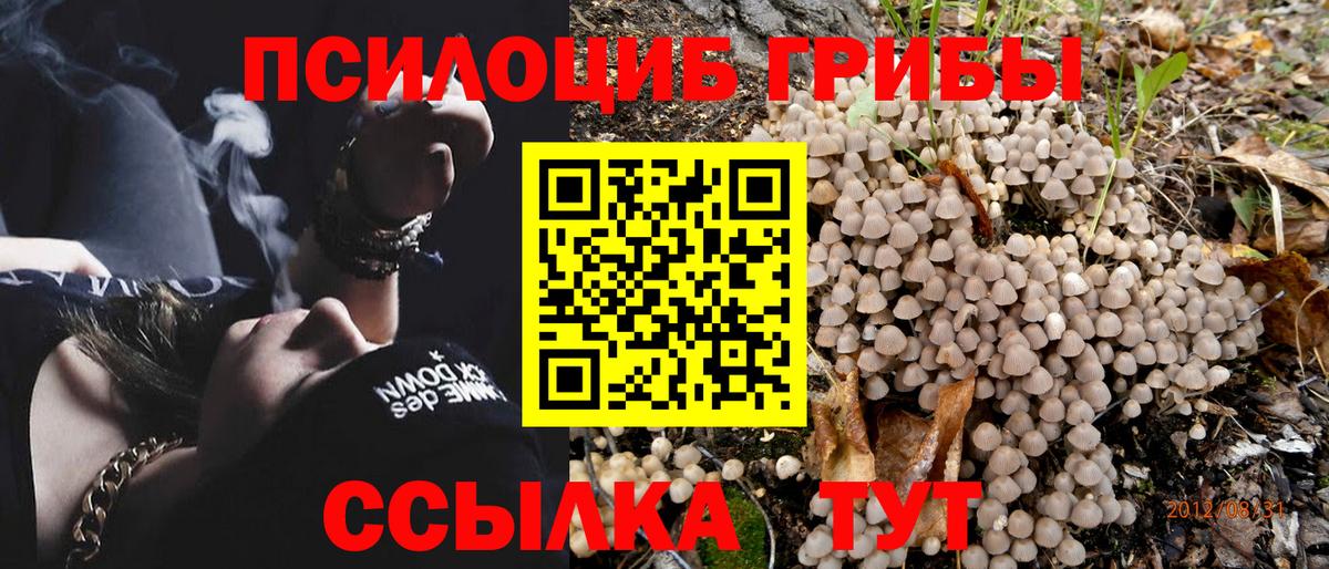 Галлюциногенные грибы мицелий Сегежа