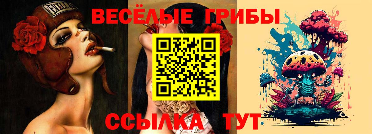 Псилоцибиновые грибы Magic Shrooms  Галлюциногенные грибы Psilocybe  купить  цена  Вход с VPN  Сегежа 